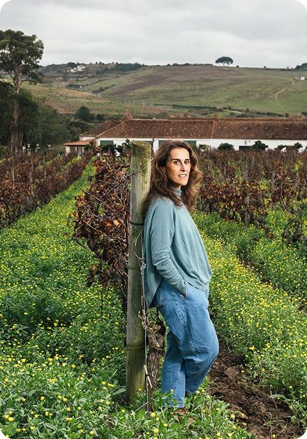 Mulher de cabelo castanho comprido, com camisola larga azul-clara e calças de ganga, encostada a um poste de madeira entre filas de videiras, num campo verde salpicado de pequenas flores amarelas; ao fundo vêem‑se uma casa rural de telhado vermelho, árvores dispersas e colinas sob um céu nublado.